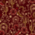 Wild Rodeo Print